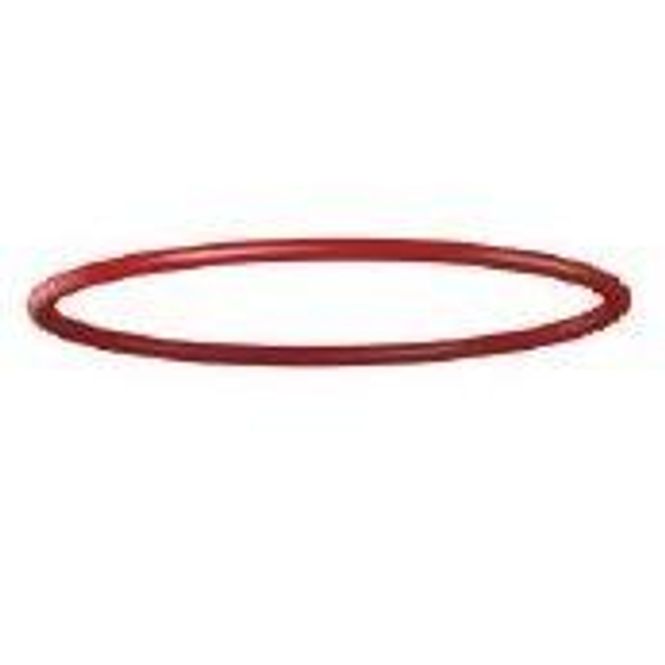 Hovedbilde Red O-ring seal Ultima